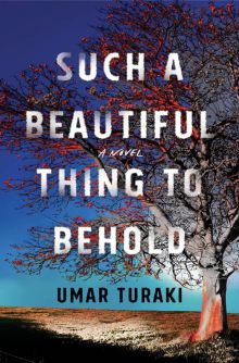 Such a Beautiful Thing to Behold - Umar Turaki